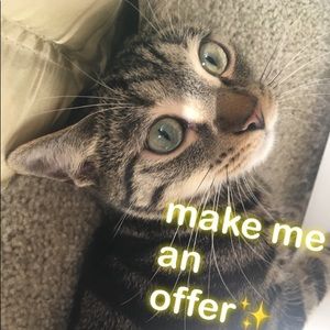 if you never ask, I can’t say yes ! 🙂✨